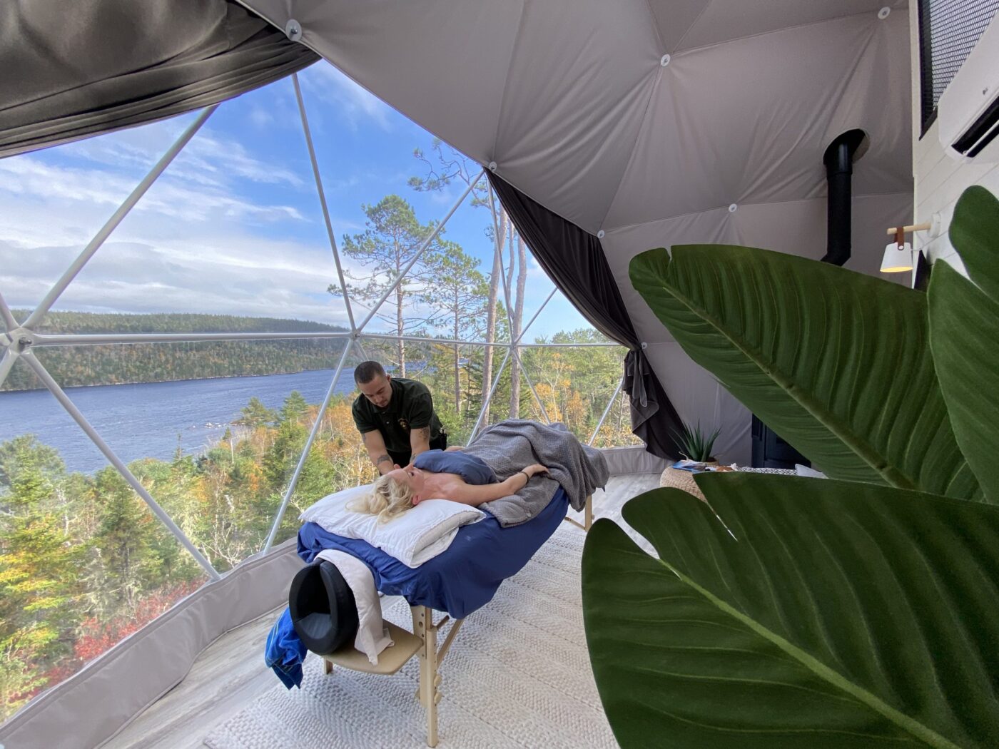 Wellness hero image