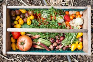 Where to Shop Farm-to-Table in Musquodoboit Valley image